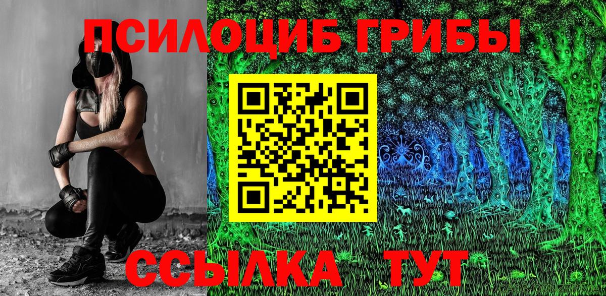 Богородск  Галлюциногенные грибы Psilocybine cubensis  купить наркотики цена  Псилоцибиновые грибы ЛСД  Вход с VPN 